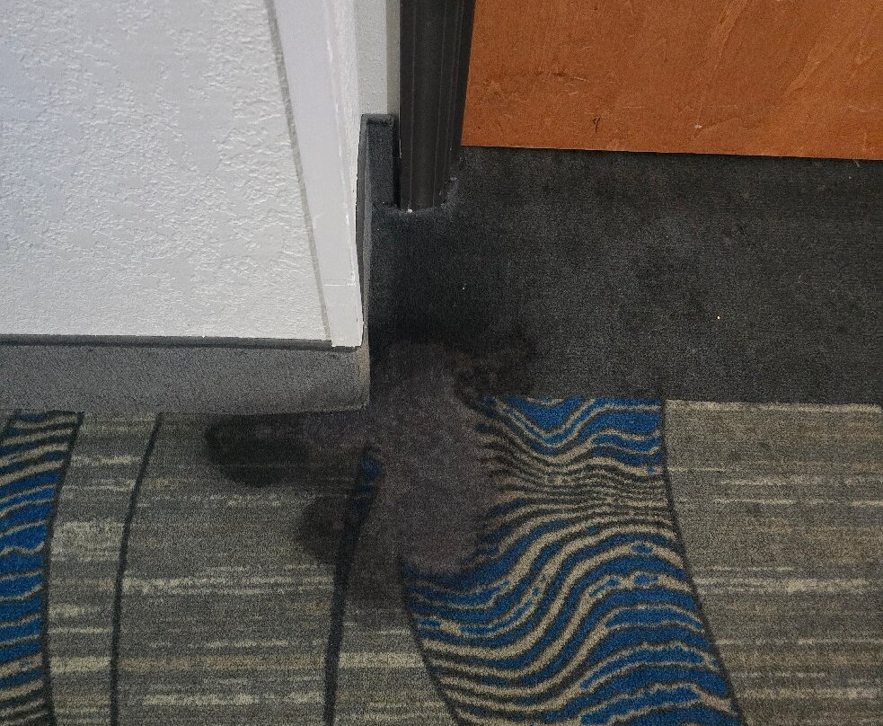 Wingate by Wyndham Indianapolis Airport Plainfield主图