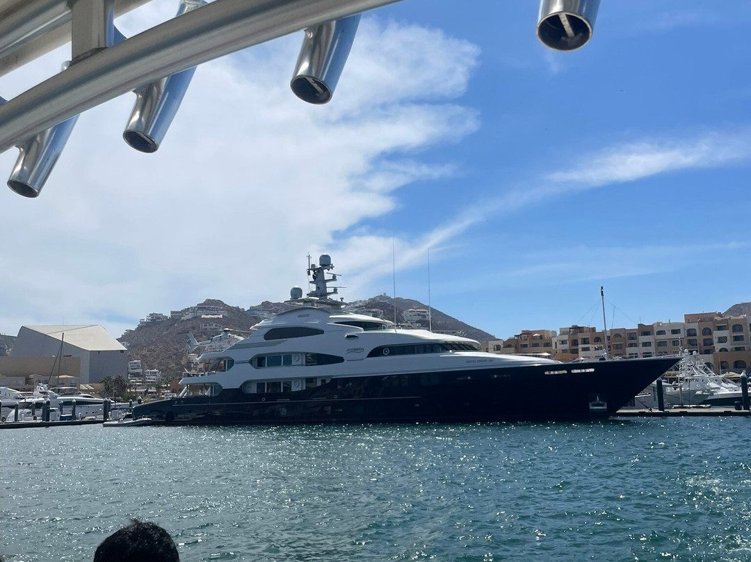 Cabo Ocean Tours-卡波圣卢卡斯必去景点