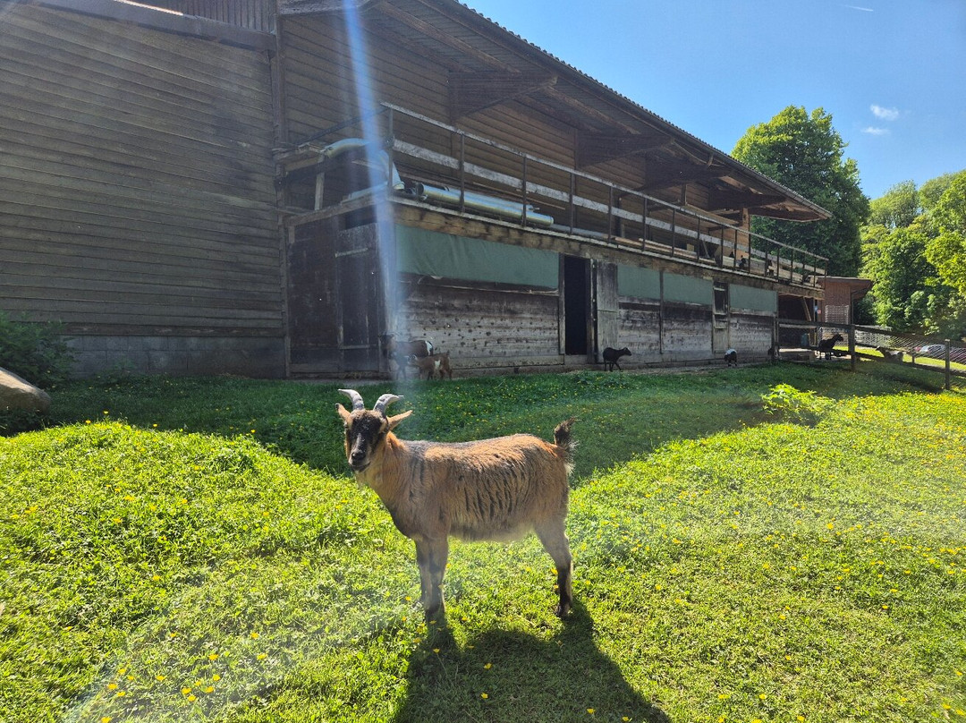 Ferme De La Fondation St-barthélemy-St-Barthelemy必去景点
