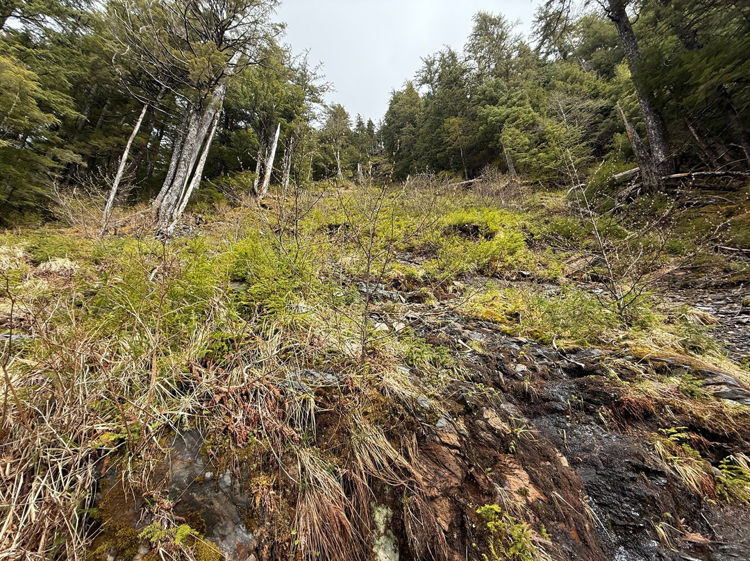 Deer Mountain Trail-凯奇坎必去景点