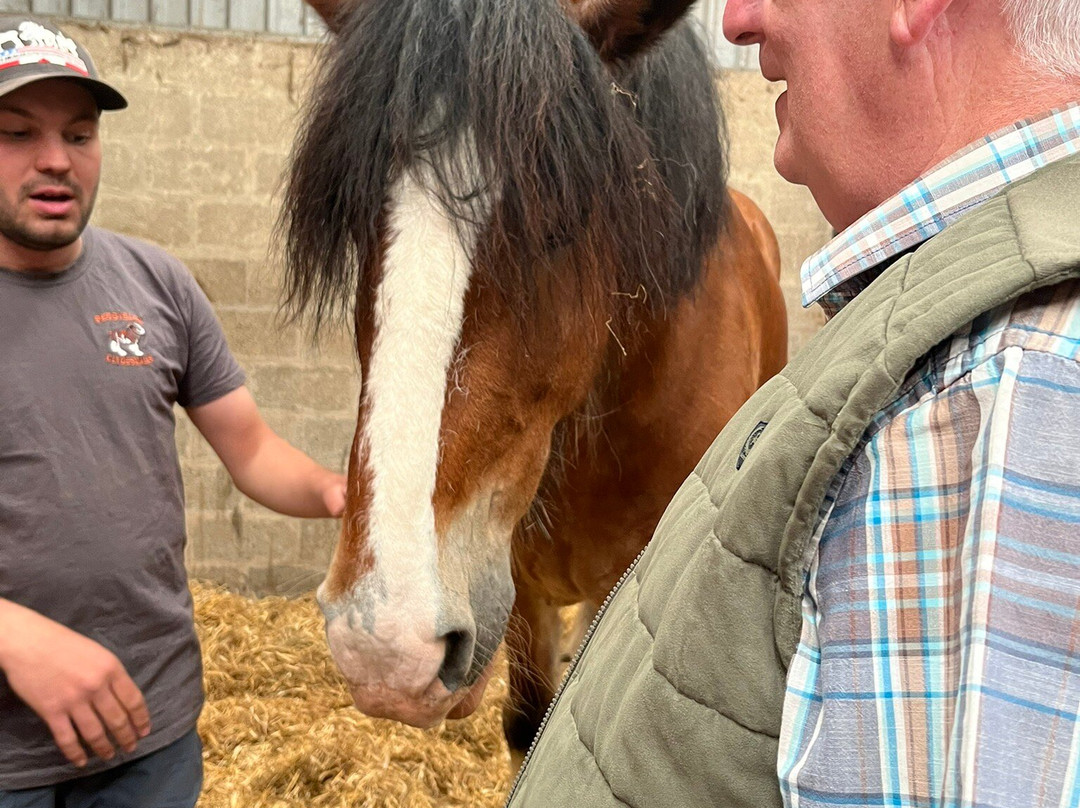Peggyslea Clydesdales-Penicuik必去景点