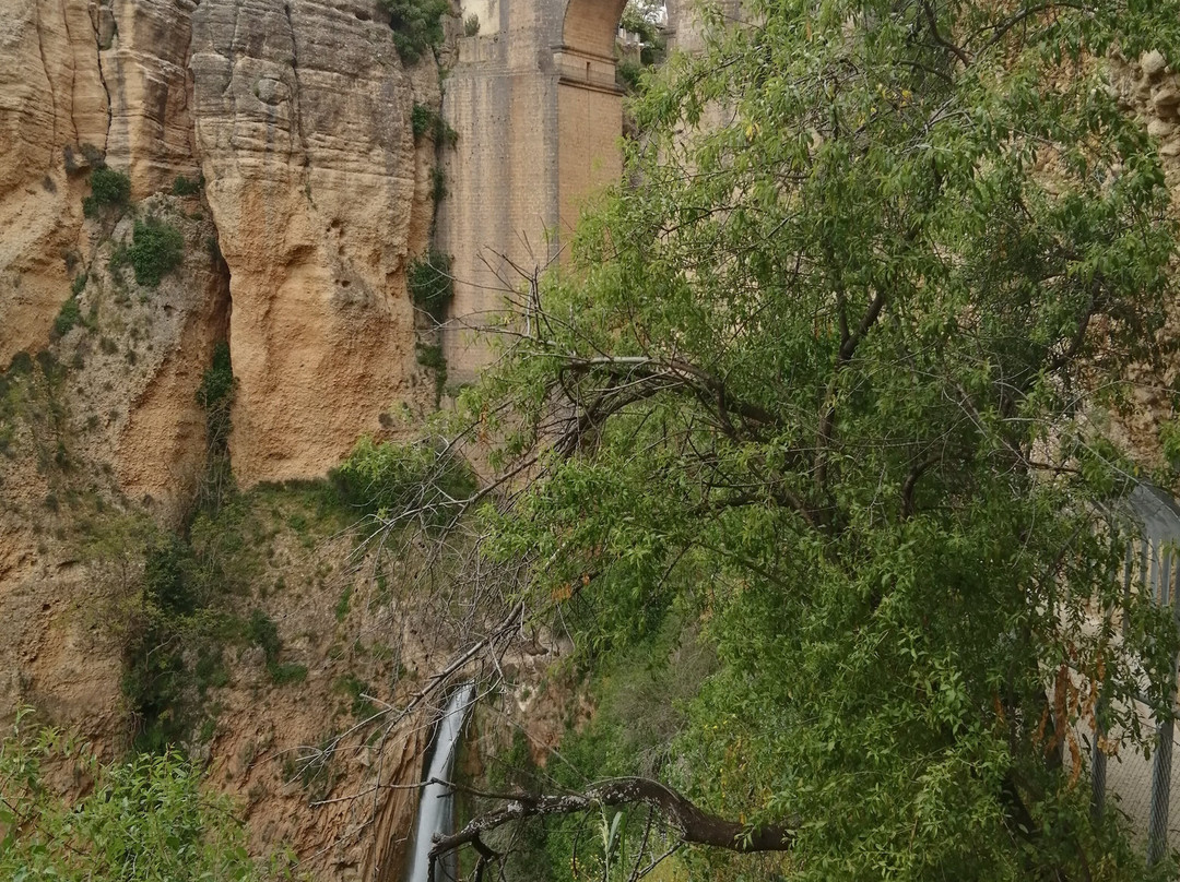 Mirador del Puente Nuevo景点图片