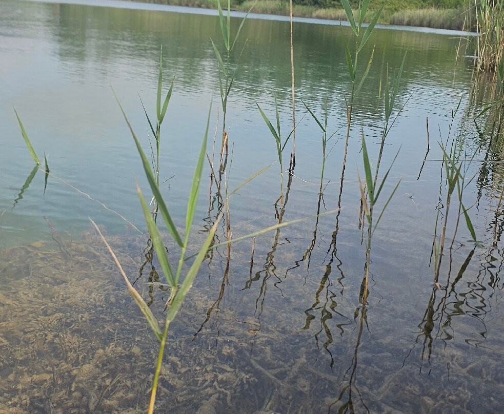 Lago dell'Accesa景点图片