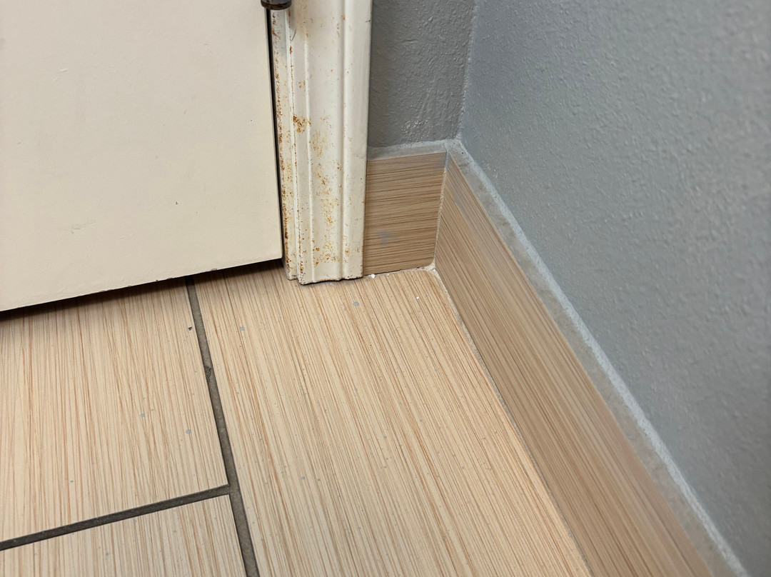 La Quinta Inn & Suites by Wyndham Rochester Mayo Clinic S主图