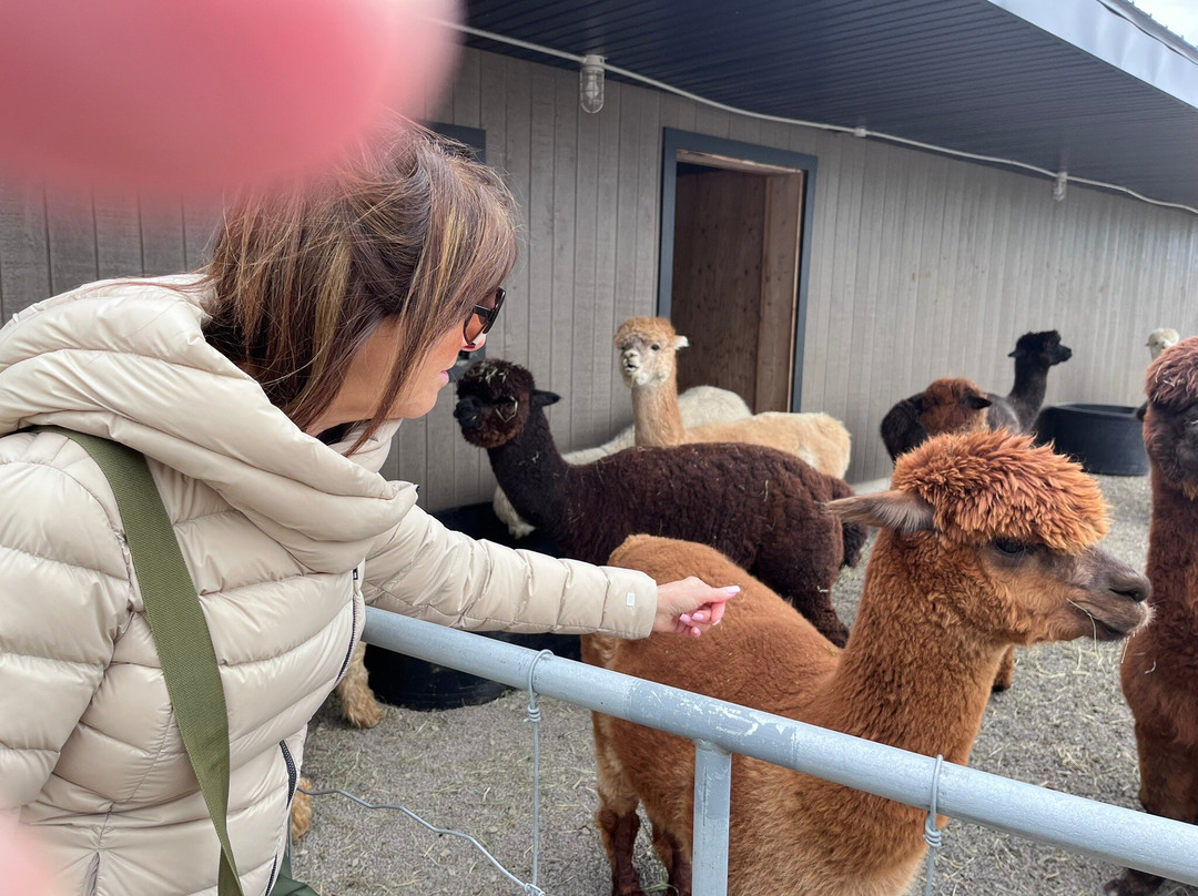 Alpacas Charlevoix-Les Eboulements必去景点