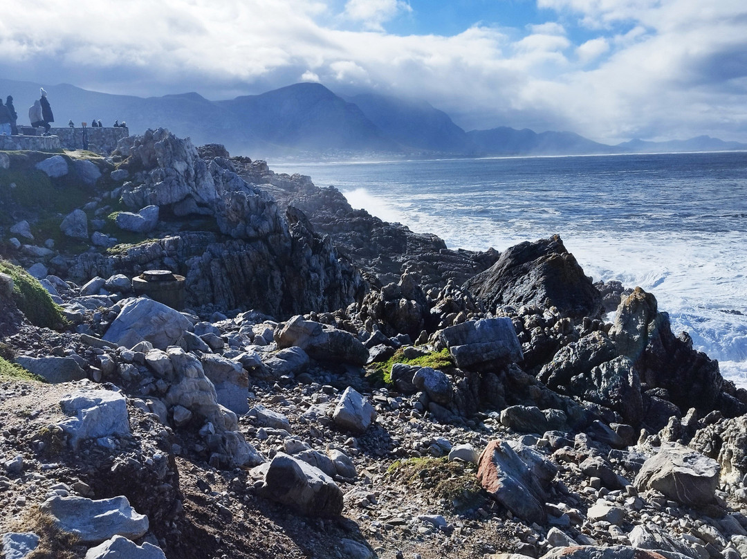 Hermanus Cliff Path-赫曼努斯必去景点