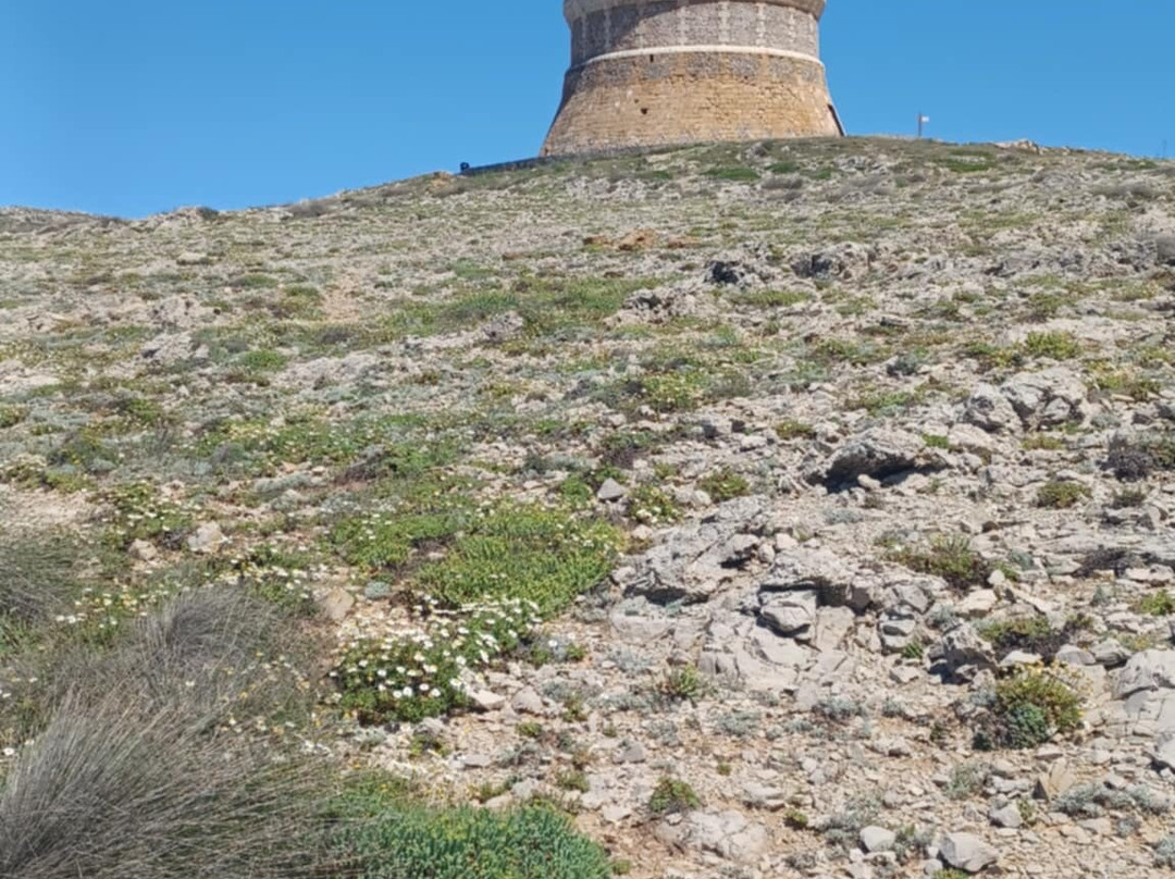 Fornells Tower-Fornells必去景点