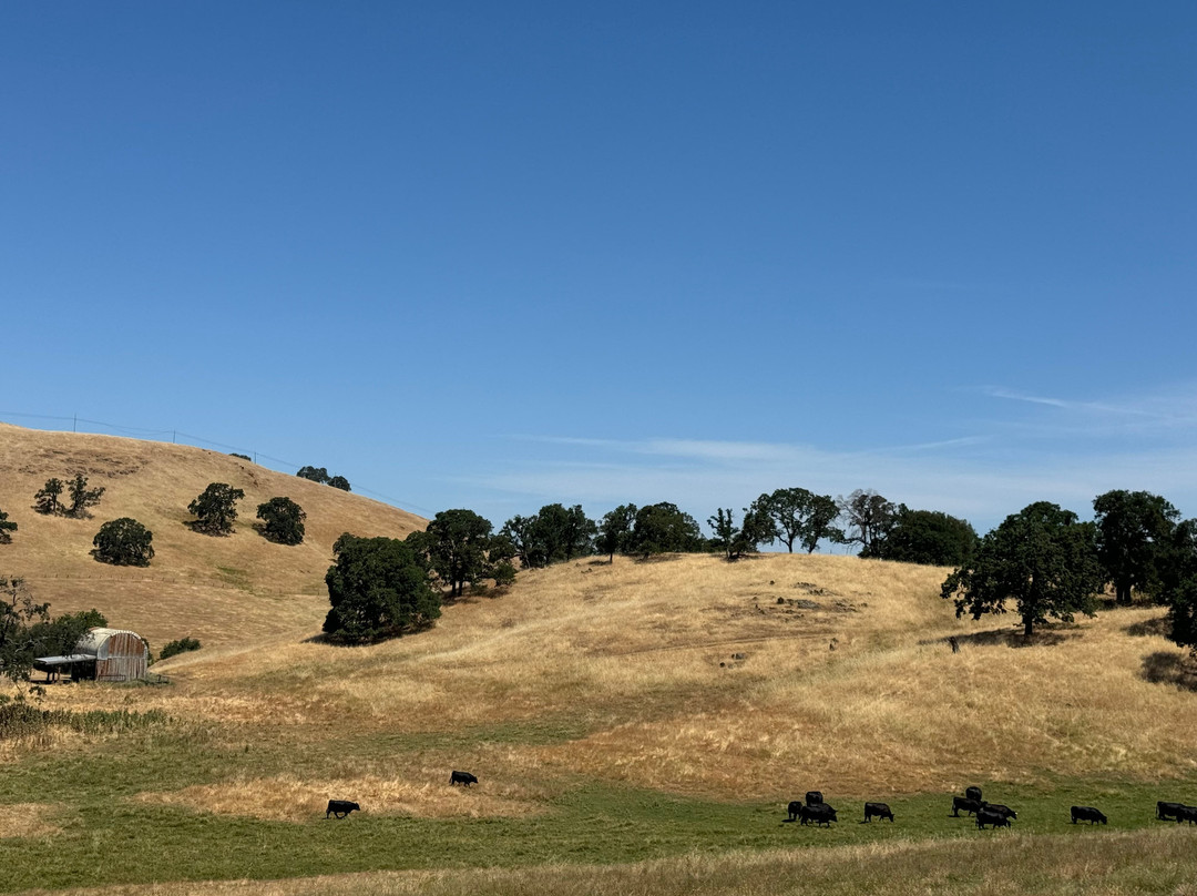 Rail Explorers: Amador CA Division景点图片