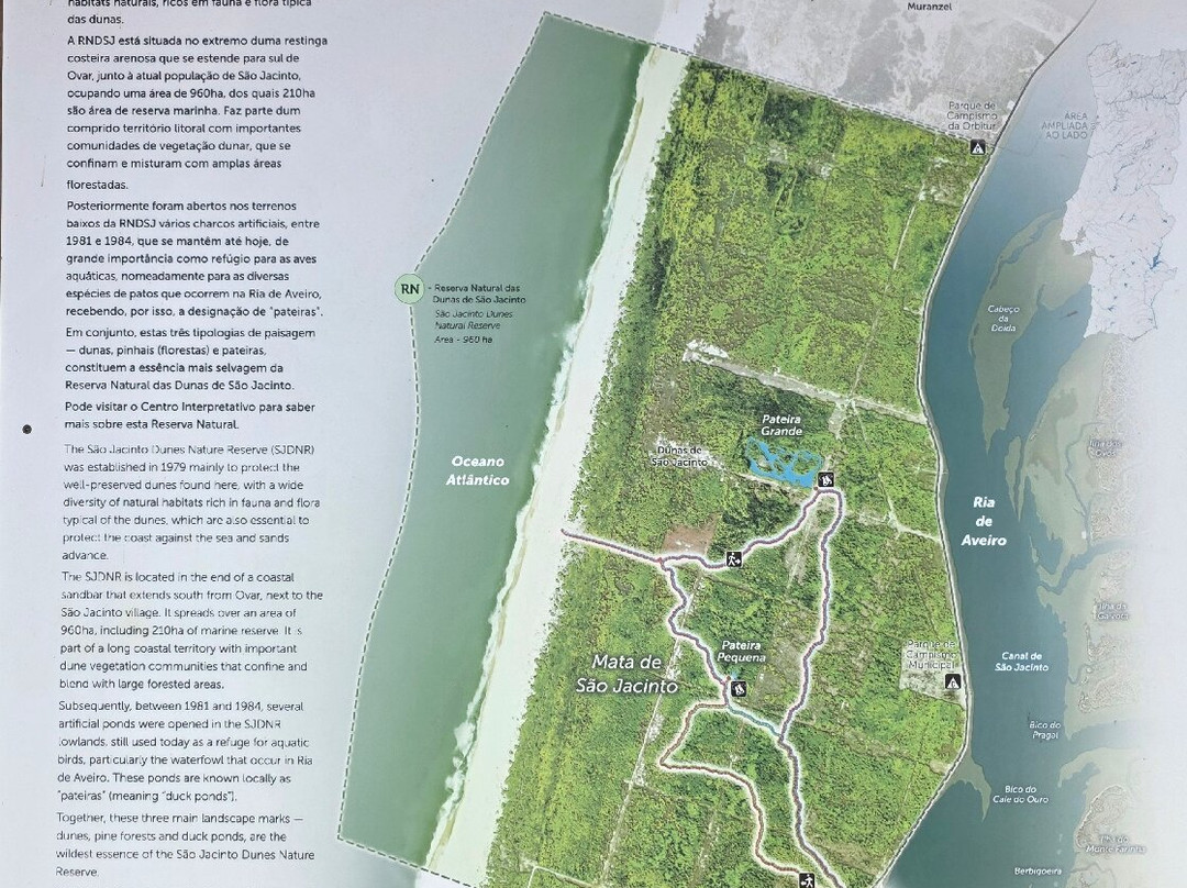 Reserva Natural das Dunas de Sao Jacinto景点图片