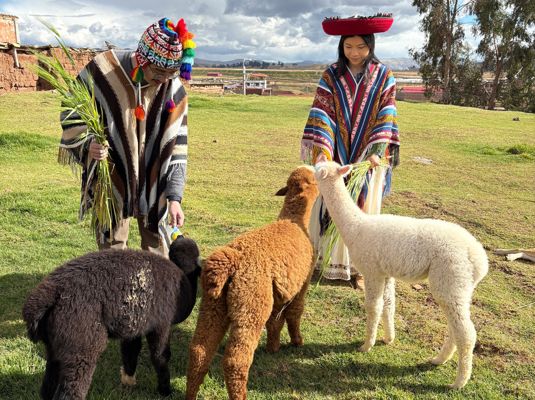 Sacred Expeditions Peru Tour Operator景点图片