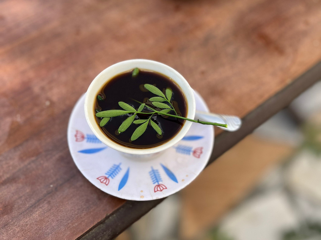 Aman Ethiopia Tours景点图片