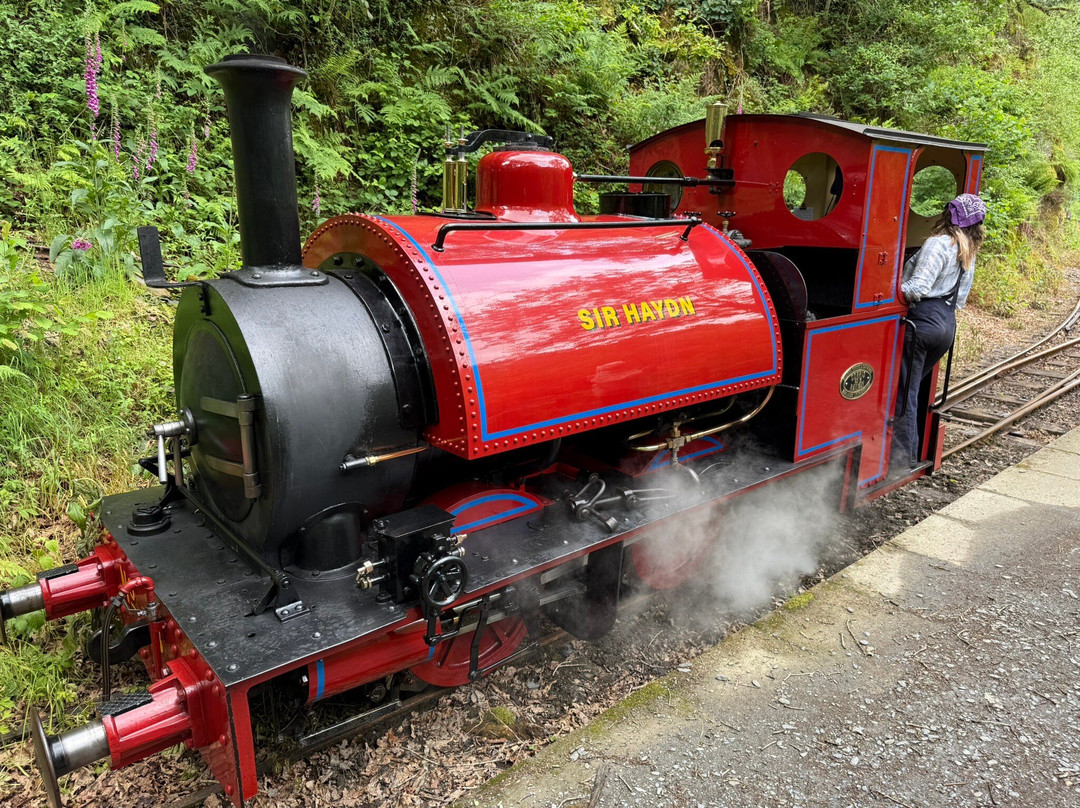 Talyllyn Railway景点图片