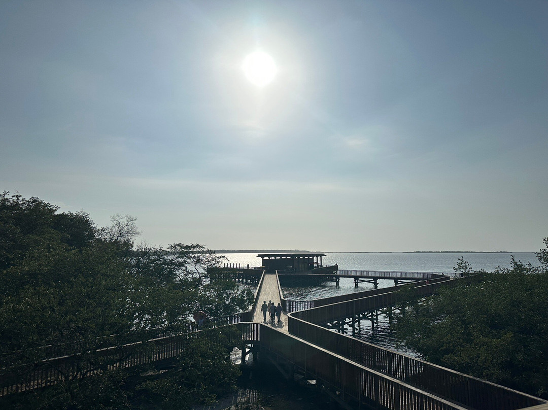 Ecoparque Ciénaga De Mallorquín