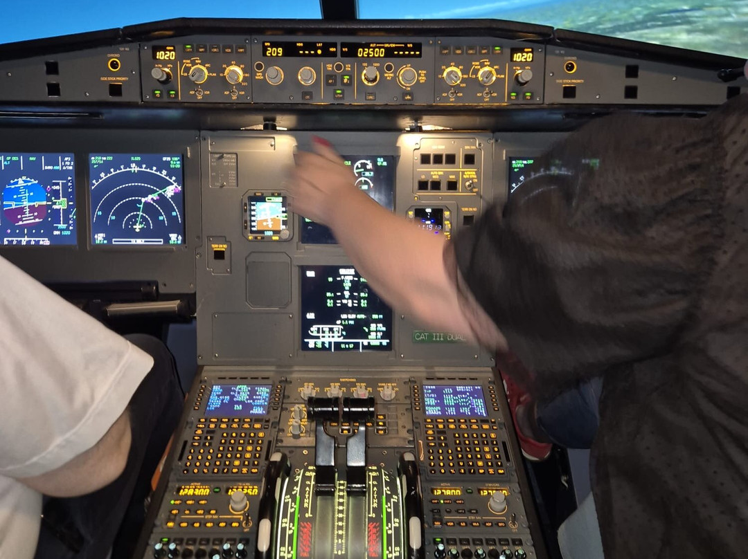 Fly A Jet - Flight Simulator-奥克兰中心地区必去景点