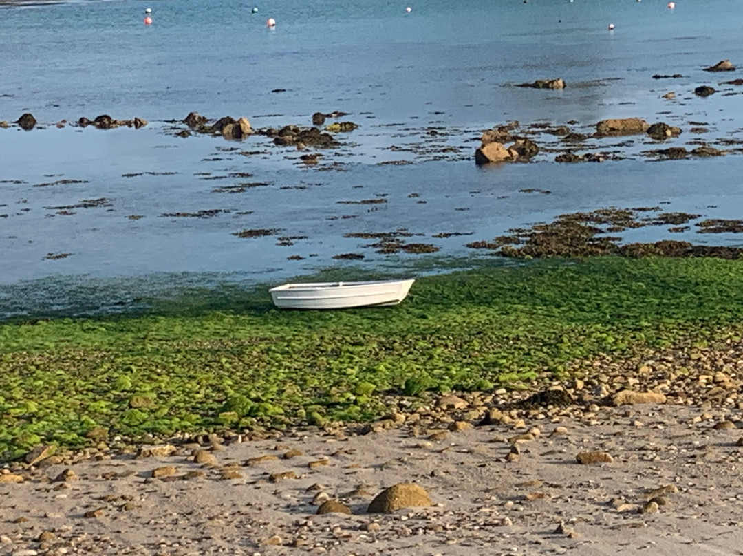 Greenlaws Guest House主图