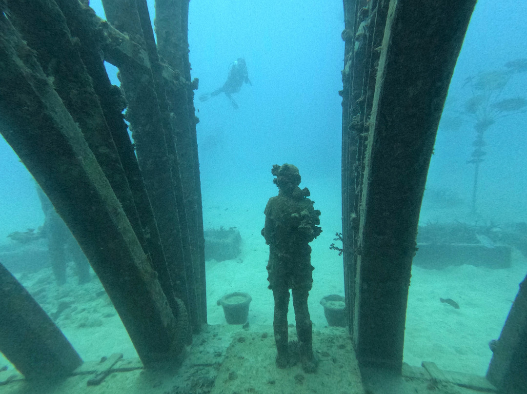 Museum of Underwater Art-North Ward必去景点