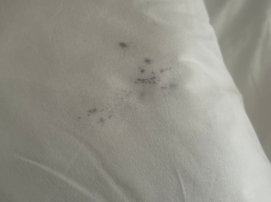 Maxeria Blue Didyma Hotel主图