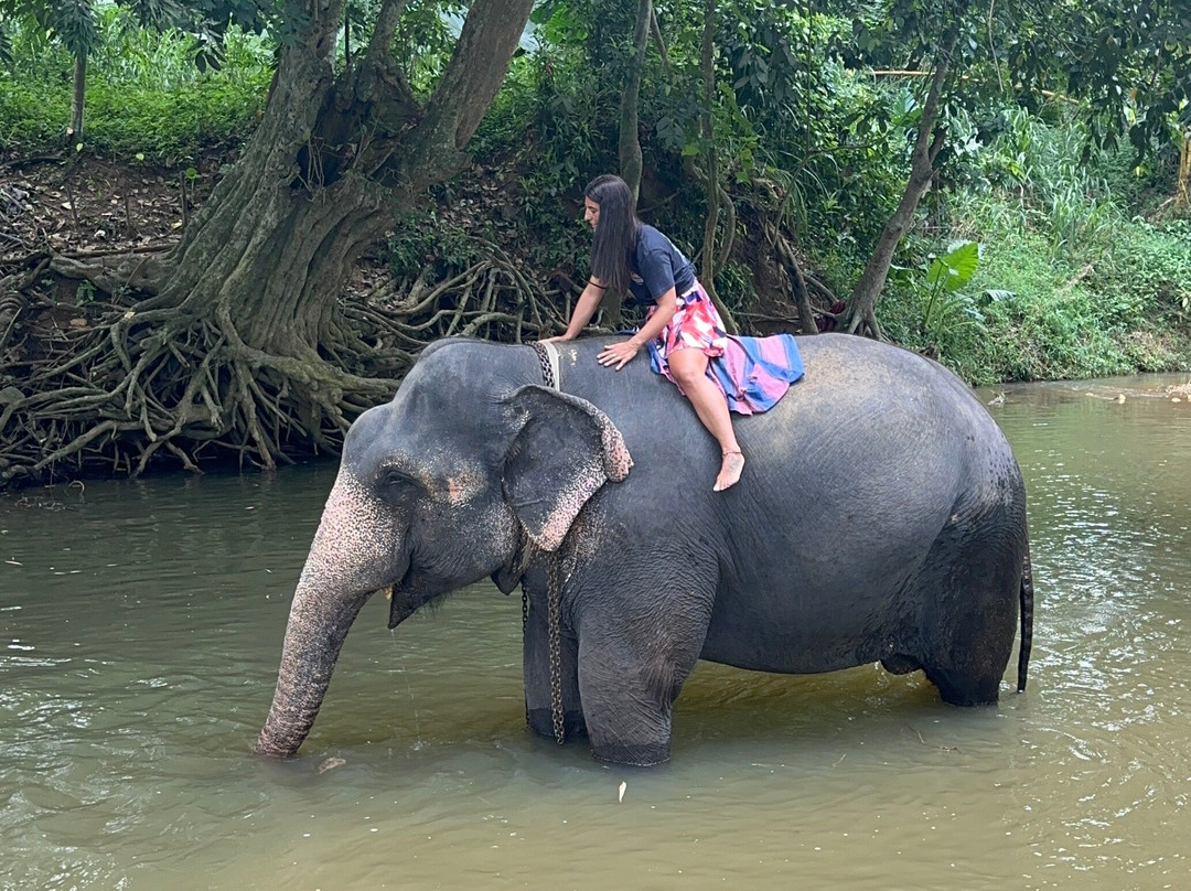 Sri Lanka Round Trip-加勒必去景点