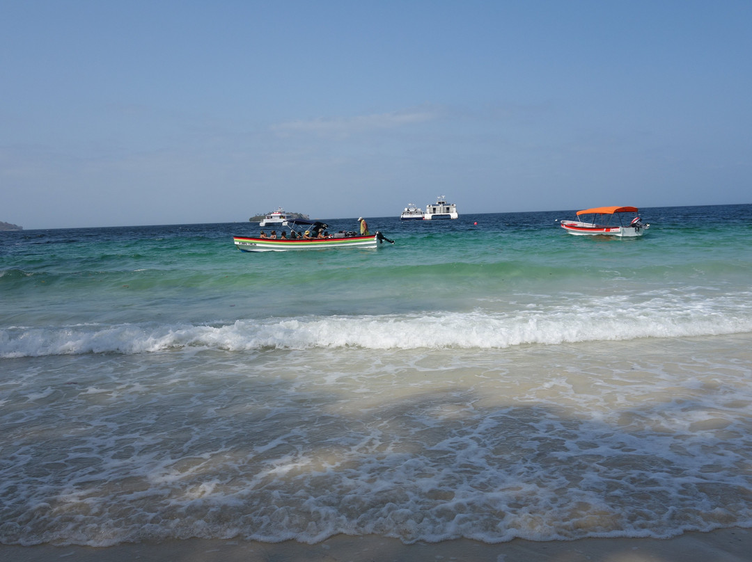Playa Larga景点图片