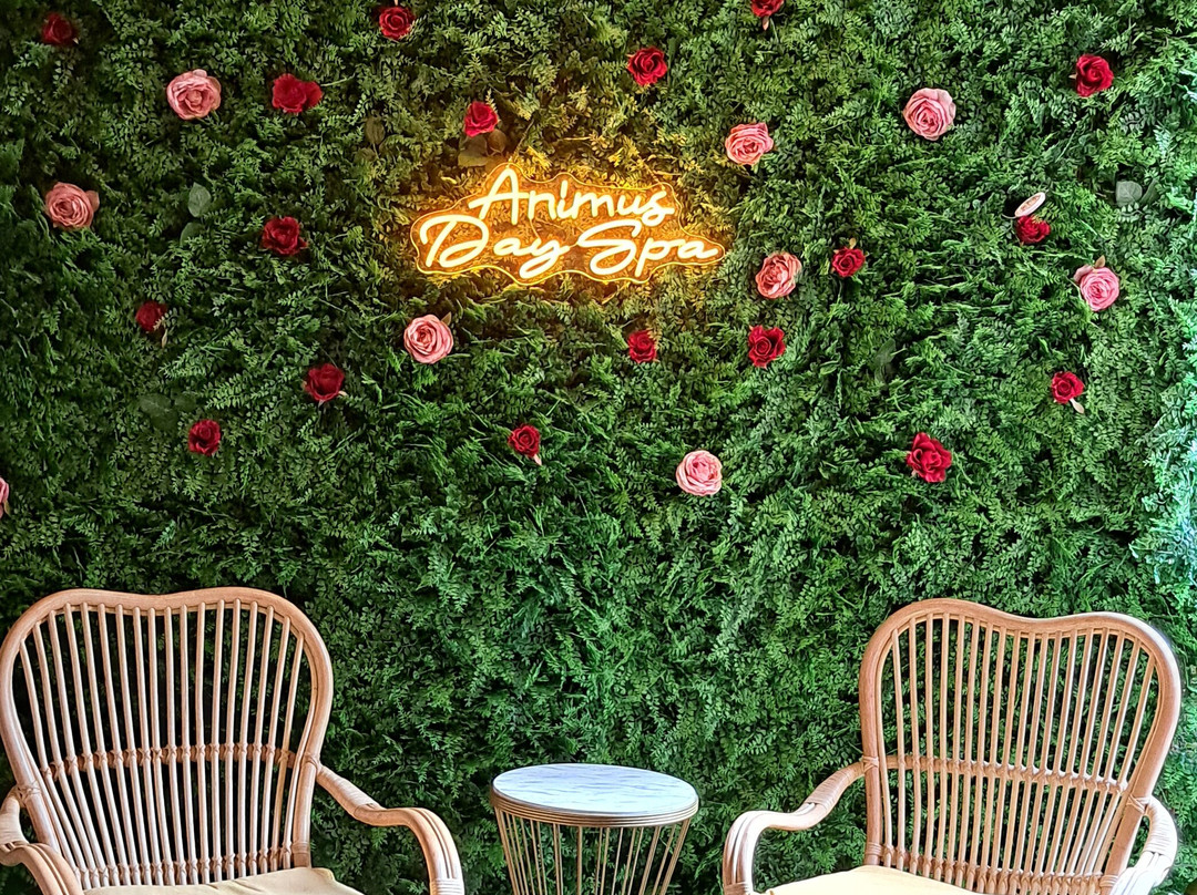 Animus Massage-塞萨洛尼基必去景点