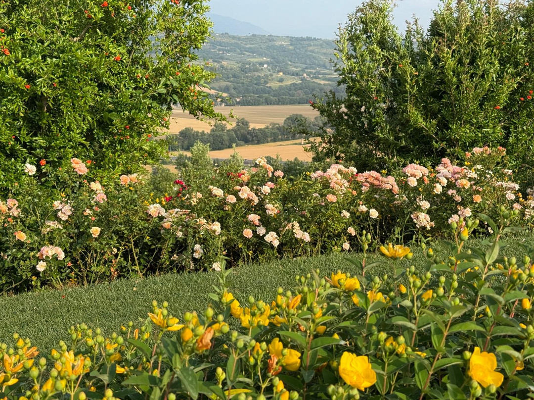 Agriturismo Il Melograno & Spa主图