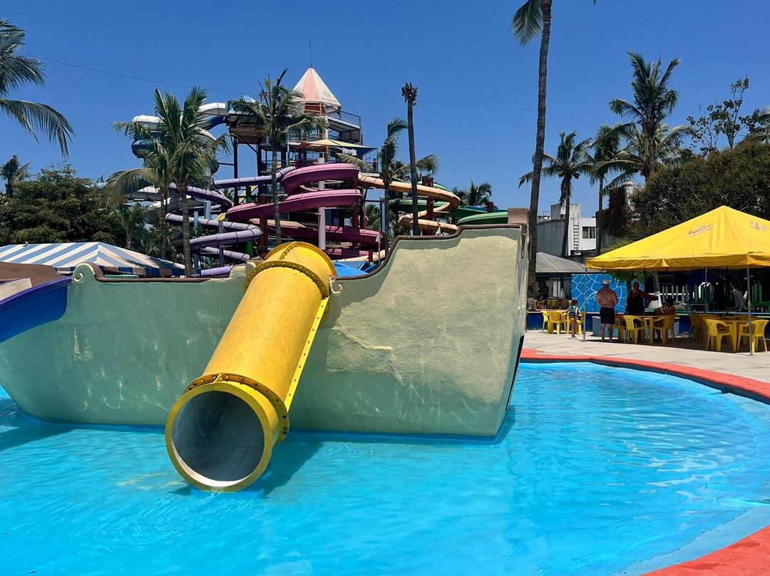 Dolphin Discovery Puerto Vallarta-新瓦雅塔必去景点