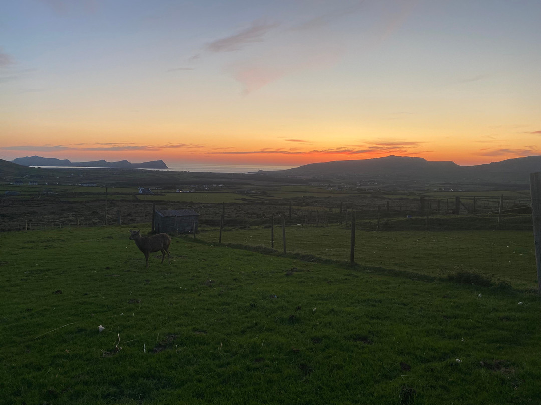 Wild Atlantic Wildlife Park