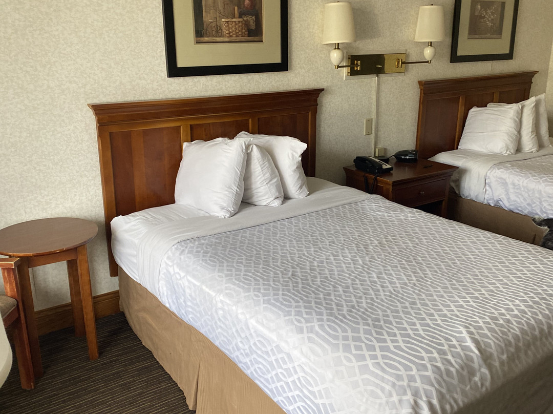 Best Western Inn主图