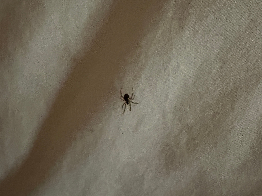 落基山哈特福德万豪酒店主图