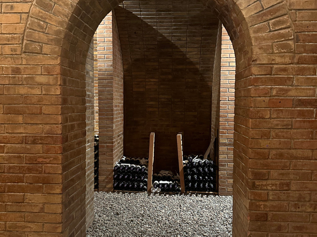 Bodega Monteviejo-Vista Flores必去景点