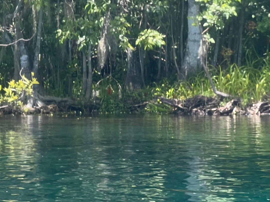 Kayaking Silver Springs-Silver Springs必去景点