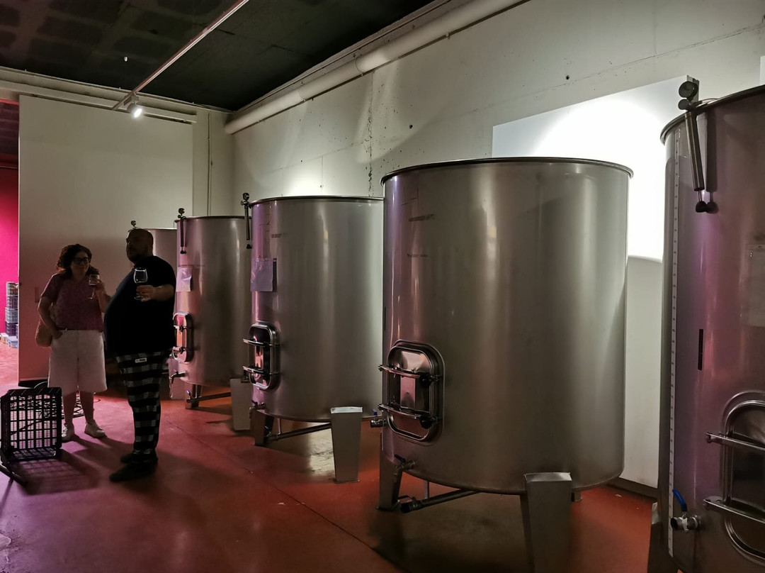 Bodegas La Divisa-Torvizcon必去景点