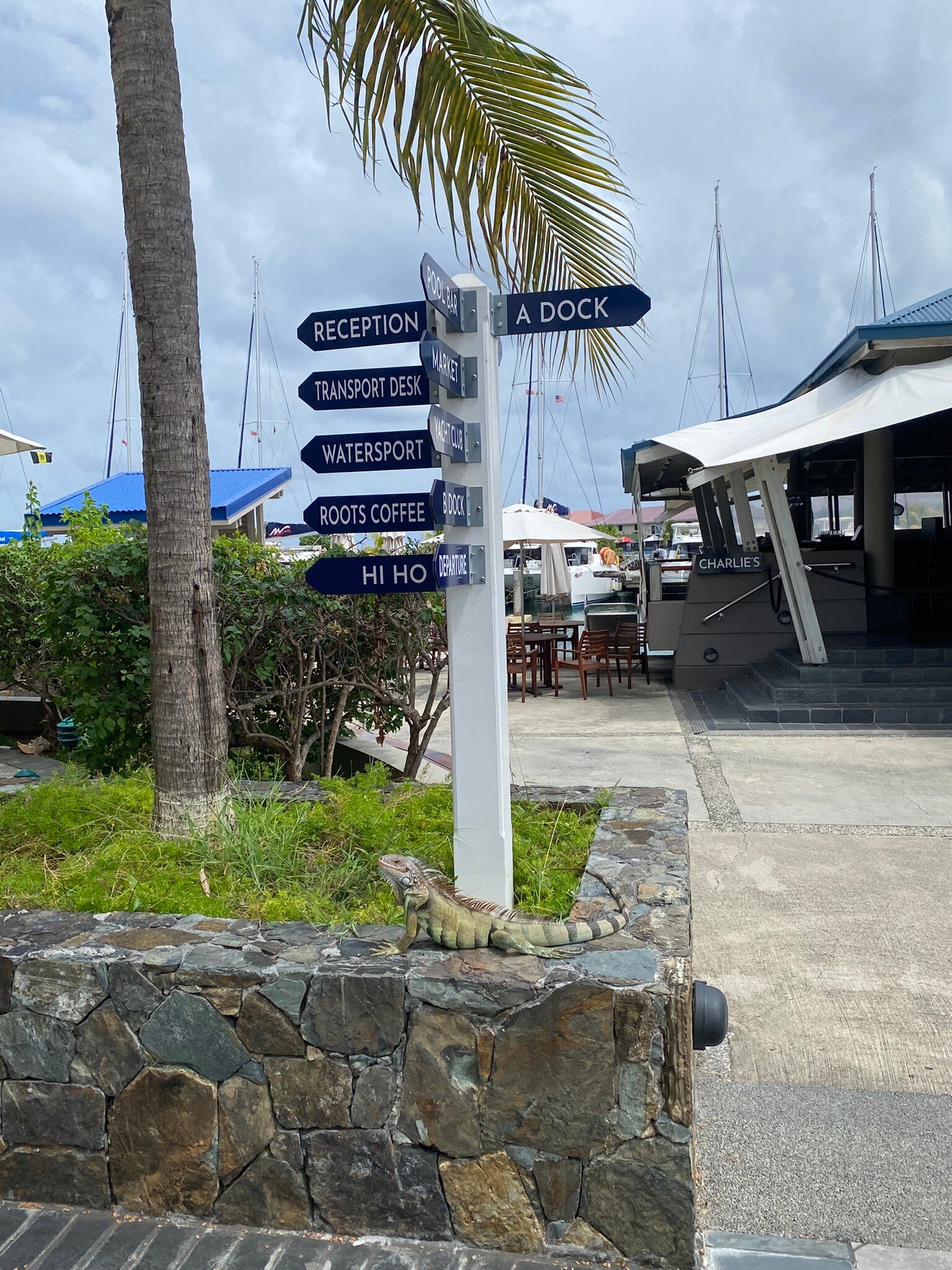 The Moorings Yacht Club Hotel-官方
