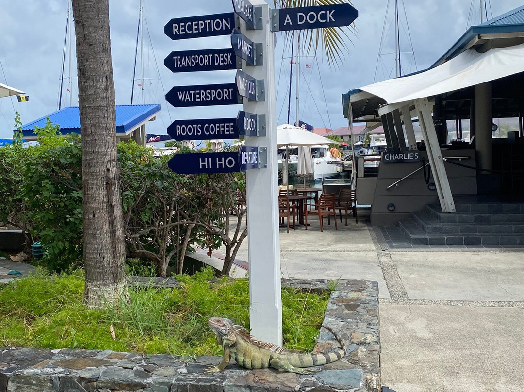 The Moorings Yacht Club Hotel主图