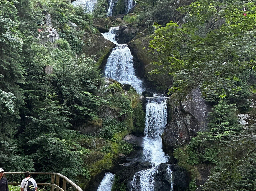 Triberg Waterfalls-特里贝格必去景点