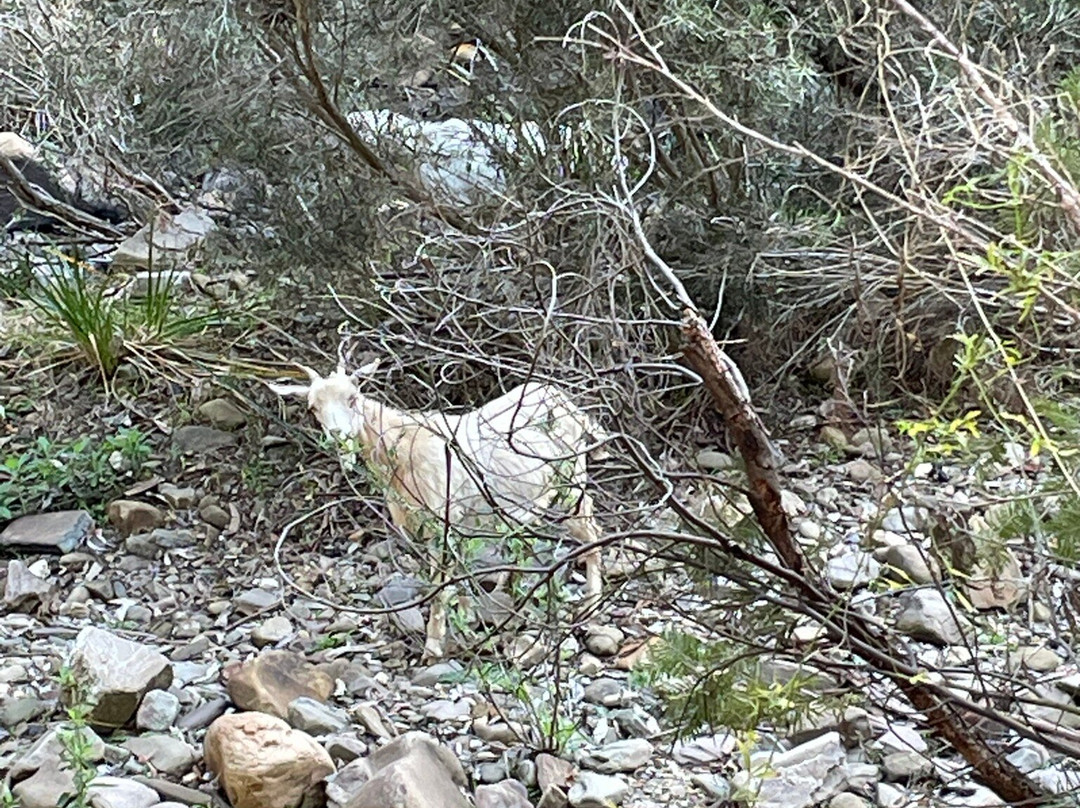 Lerderderg Gorge-Bacchus Marsh必去景点
