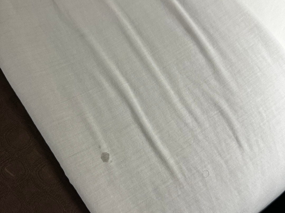 Super 8 by Wyndham Roseville/Detroit Area主图