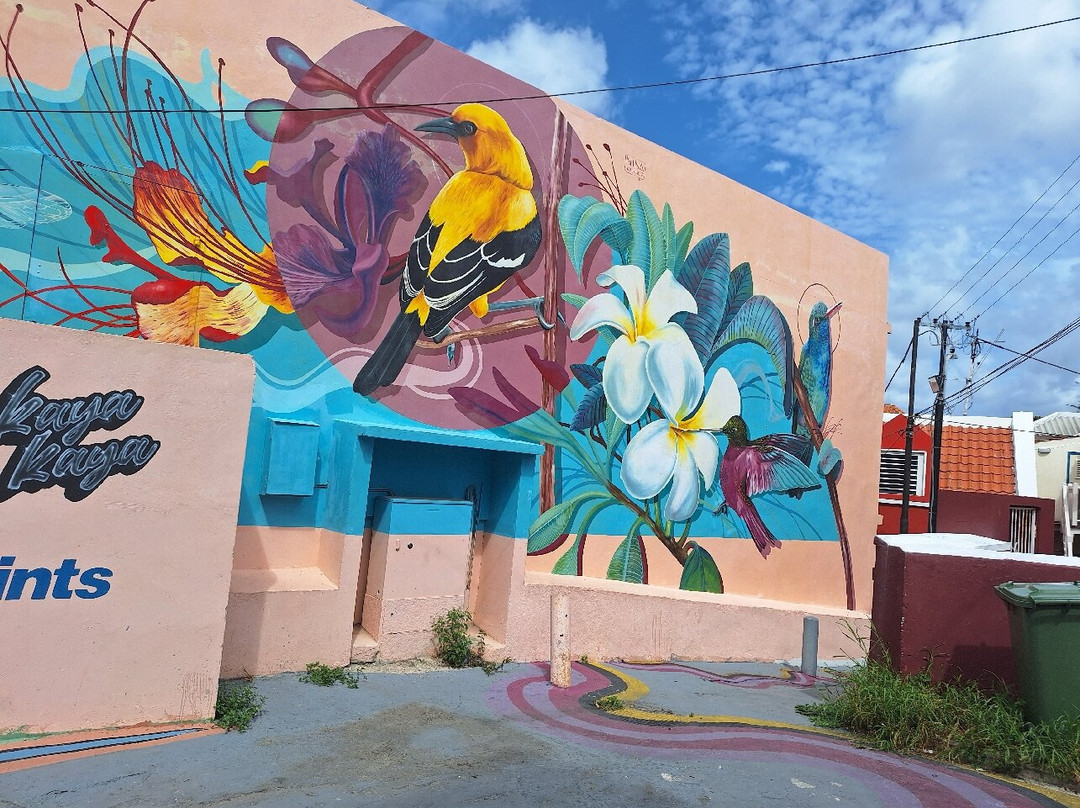 Landhuis Bona Vista主图