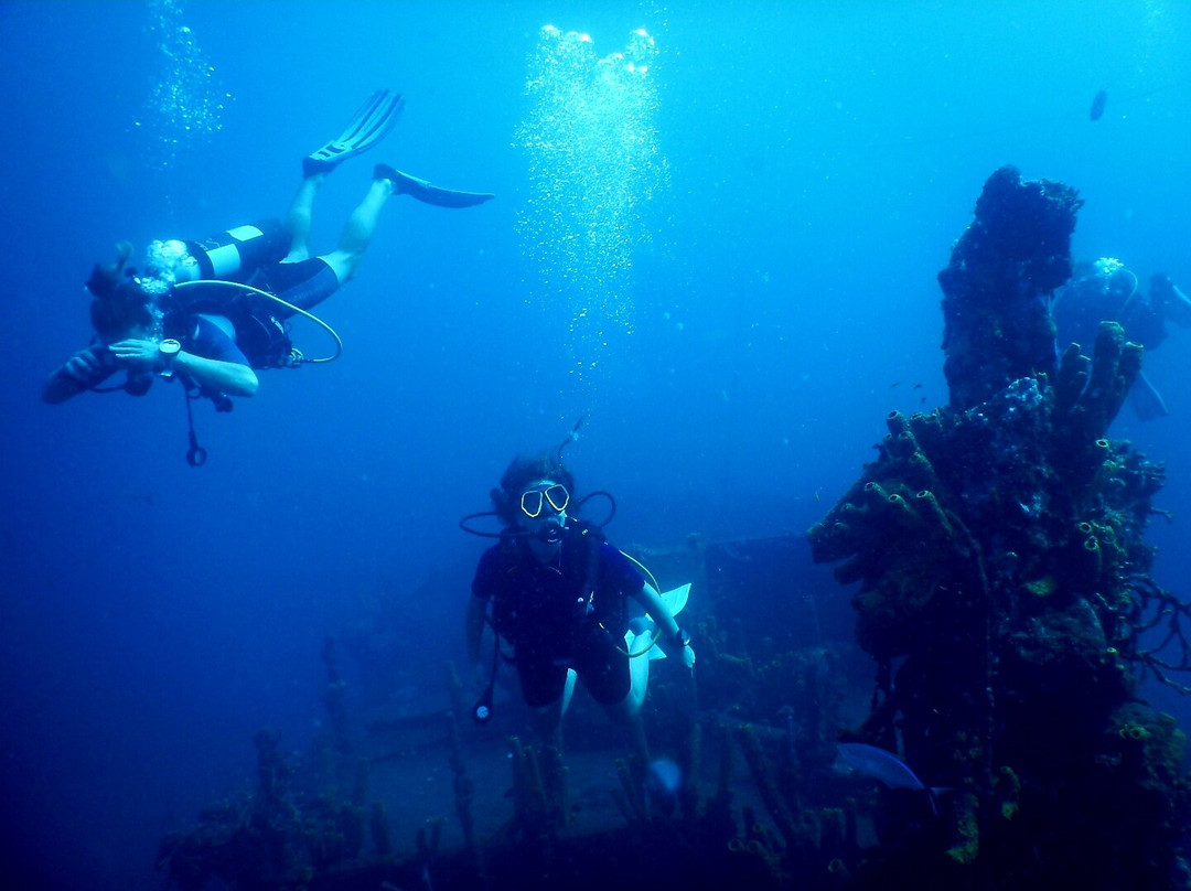 Basse-terre Plongée