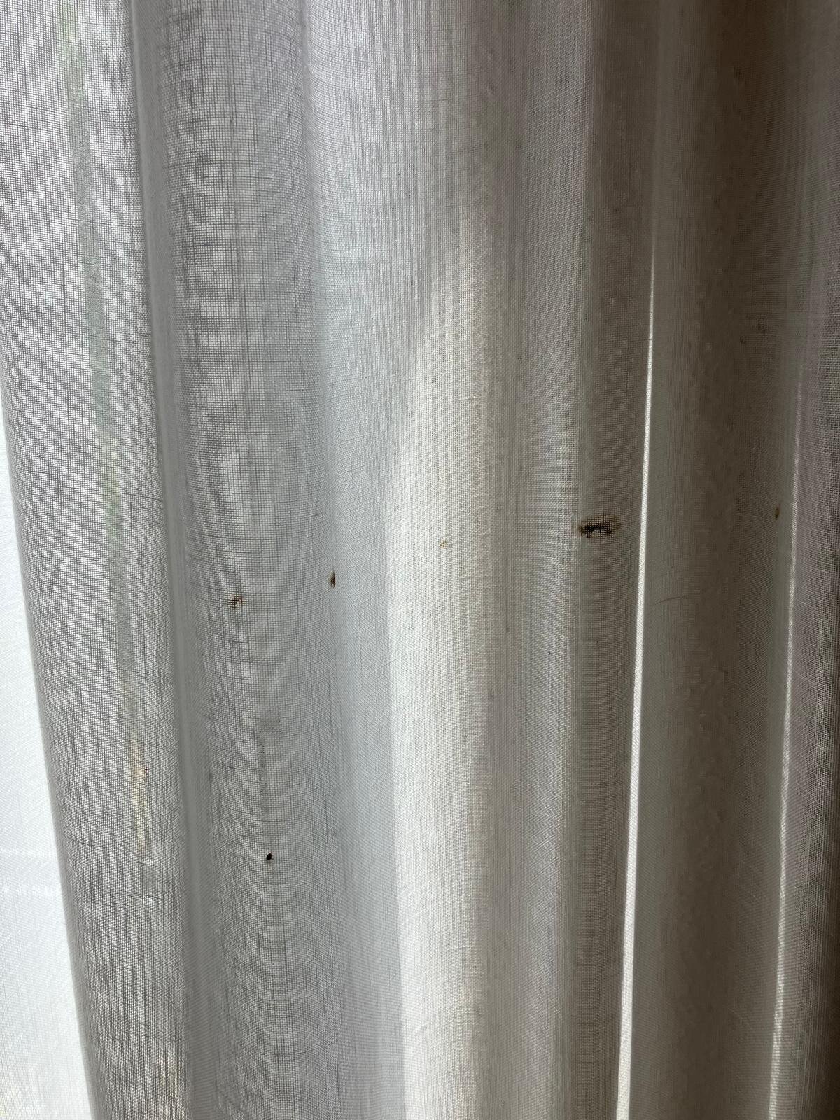 Escale Oceania Orleans-官方