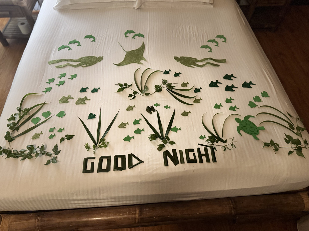 野生动物园岛度假村主图