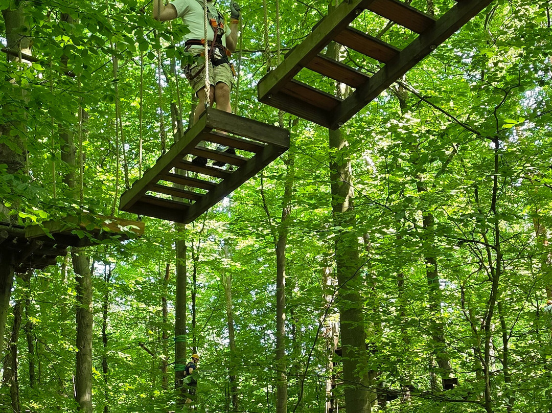 Schwindelfrei der Kletterwald-布吕尔必去景点