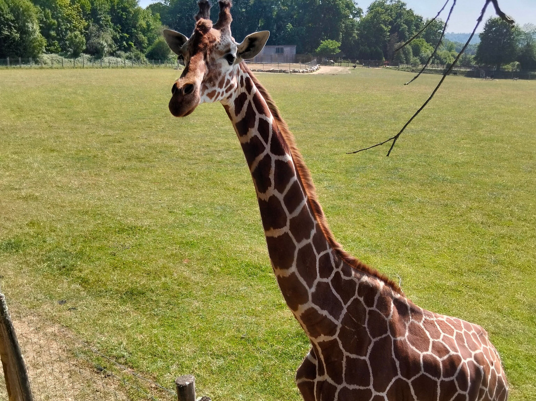 Parc Zoo du Reynou-Le Vigen必去景点