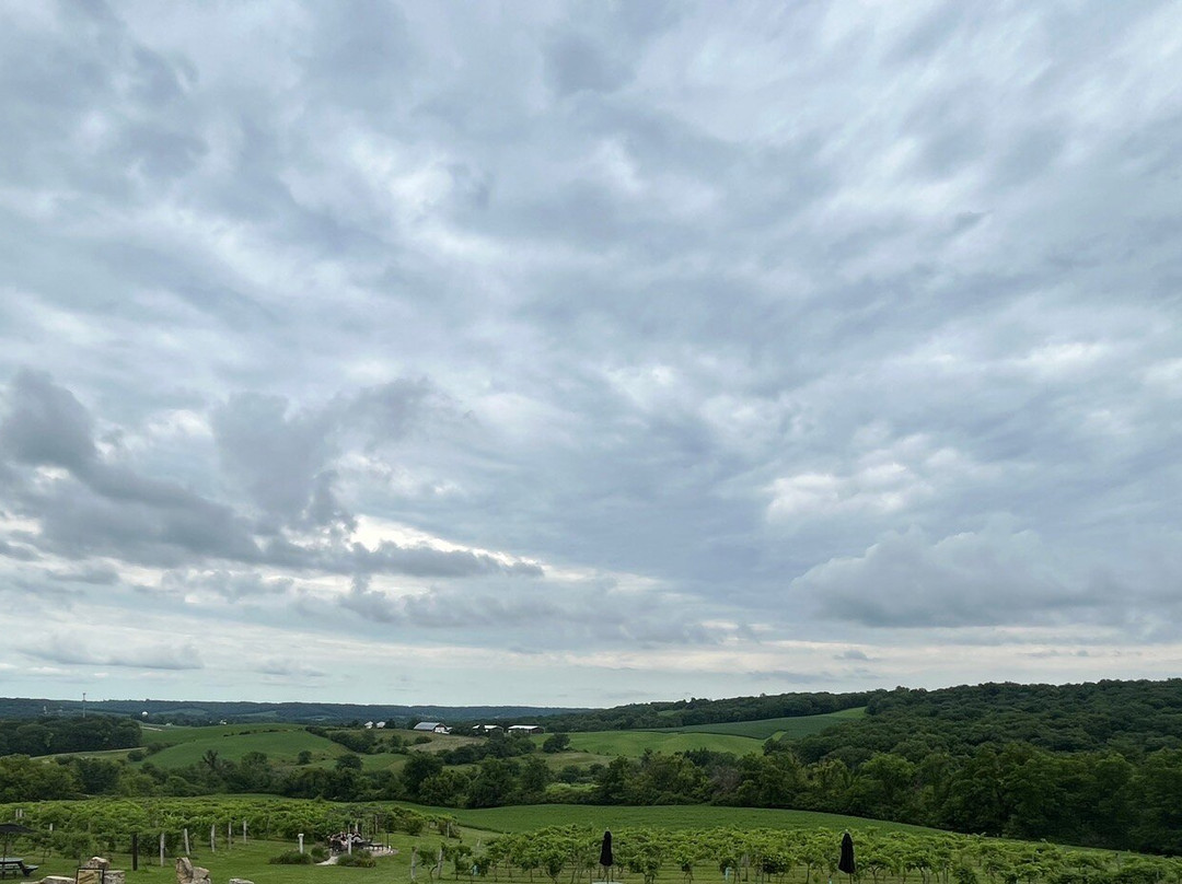 Fergedaboudit Vineyard & Winery-Hanover必去景点
