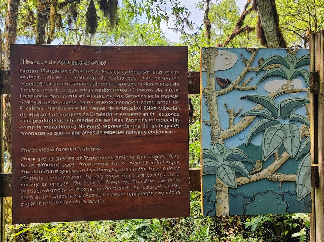 Los Gemelos-圣克鲁斯必去景点