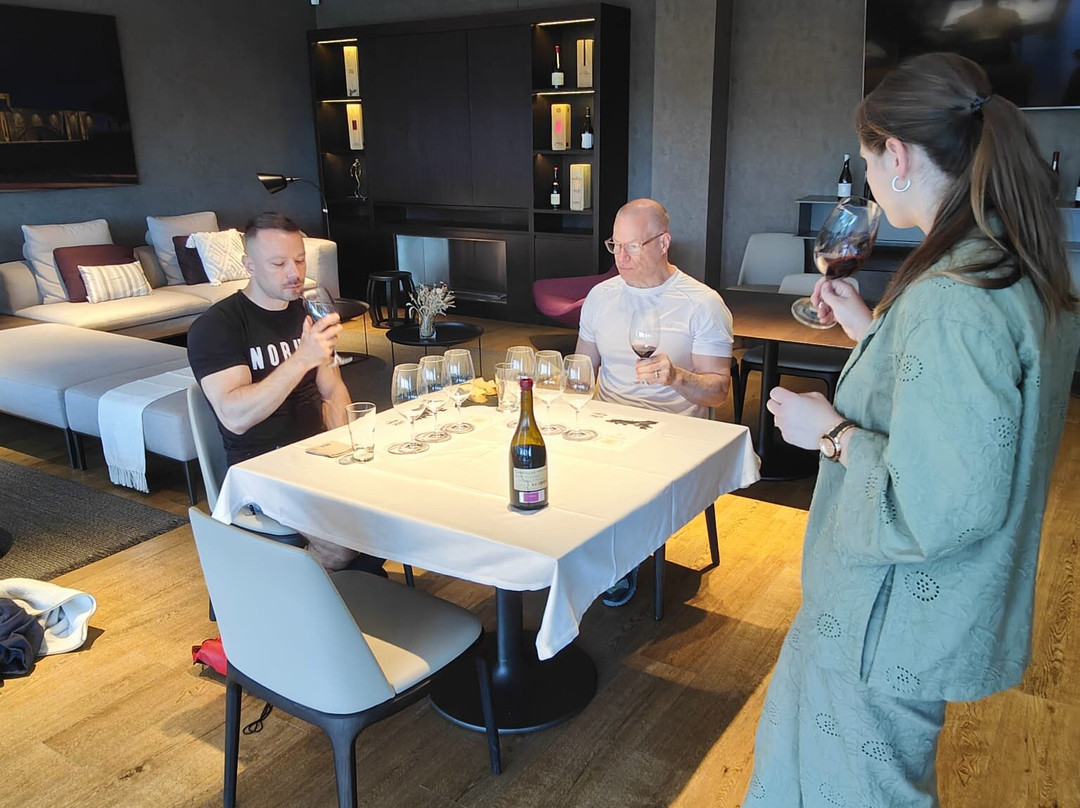 Wine Tours From Madrid-马德里必去景点