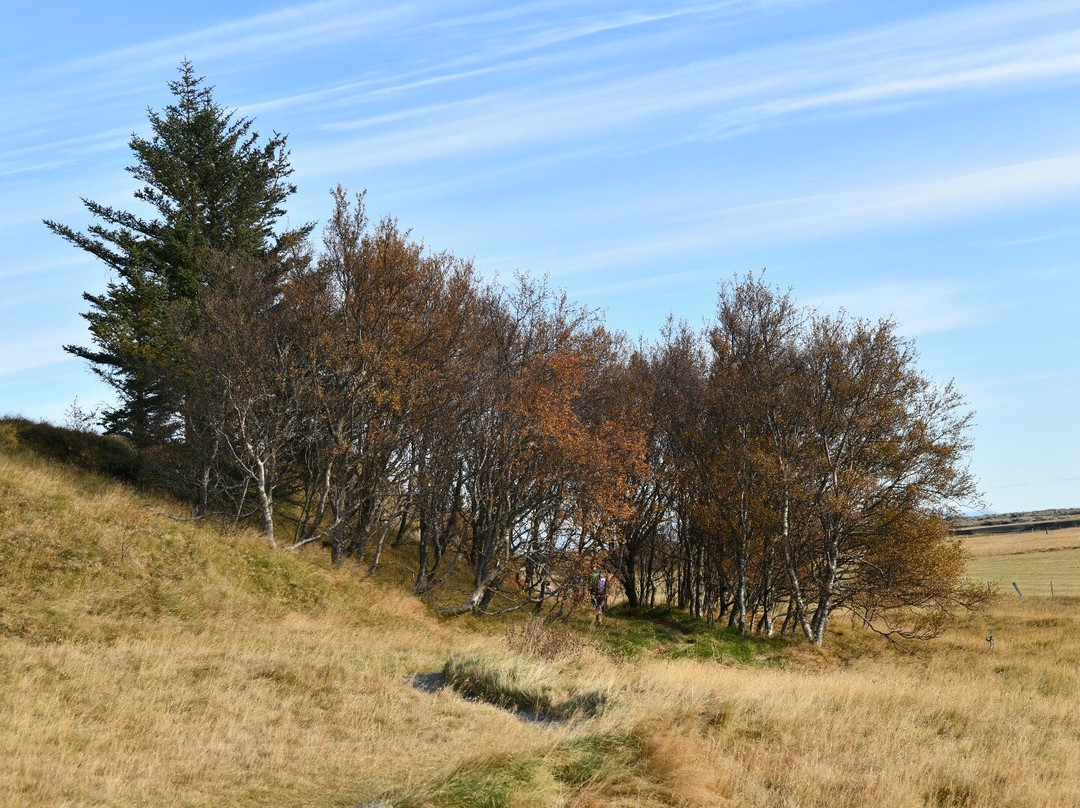 Dwarf Crags Dverghamrar-科克拜亚克劳斯特必去景点