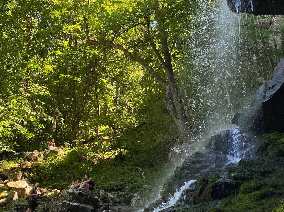 Boyana Waterfall-索非亚必去景点