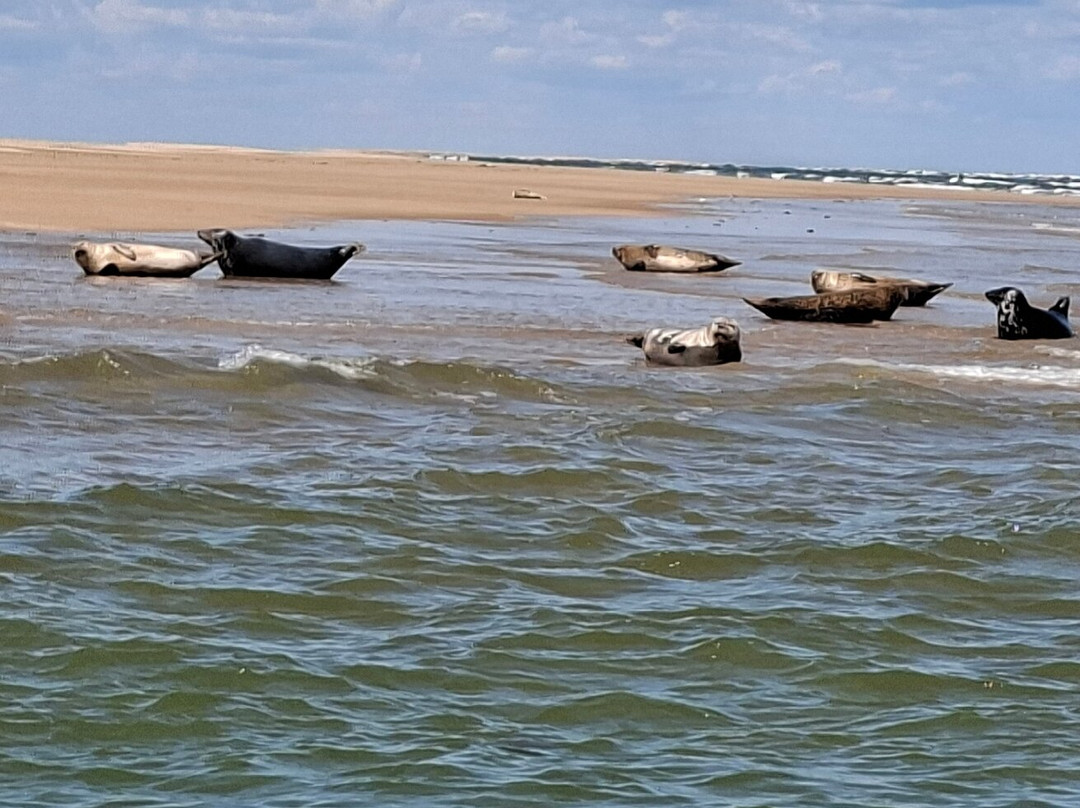 John Bean Boat Trips-Morston必去景点