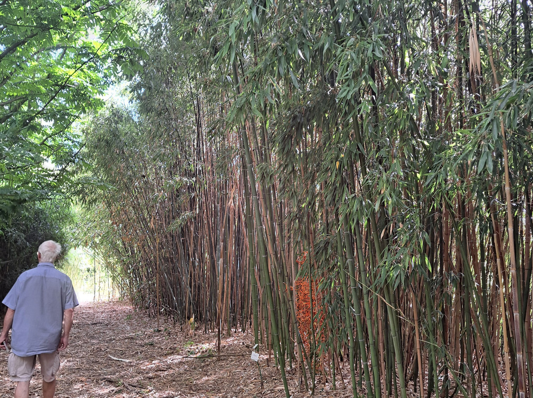 Jardin Botanique de Marnay sur Seine-Marnay-sur-Seine必去景点